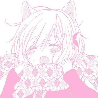 《白日提灯》今日开播